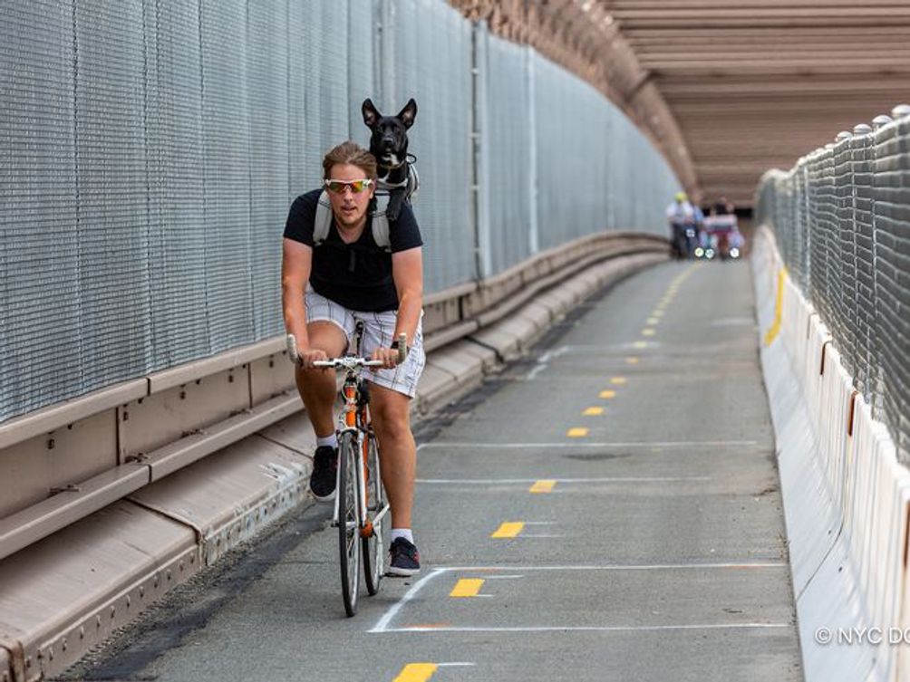 Brooklyn-Bridge-Bike-Lane