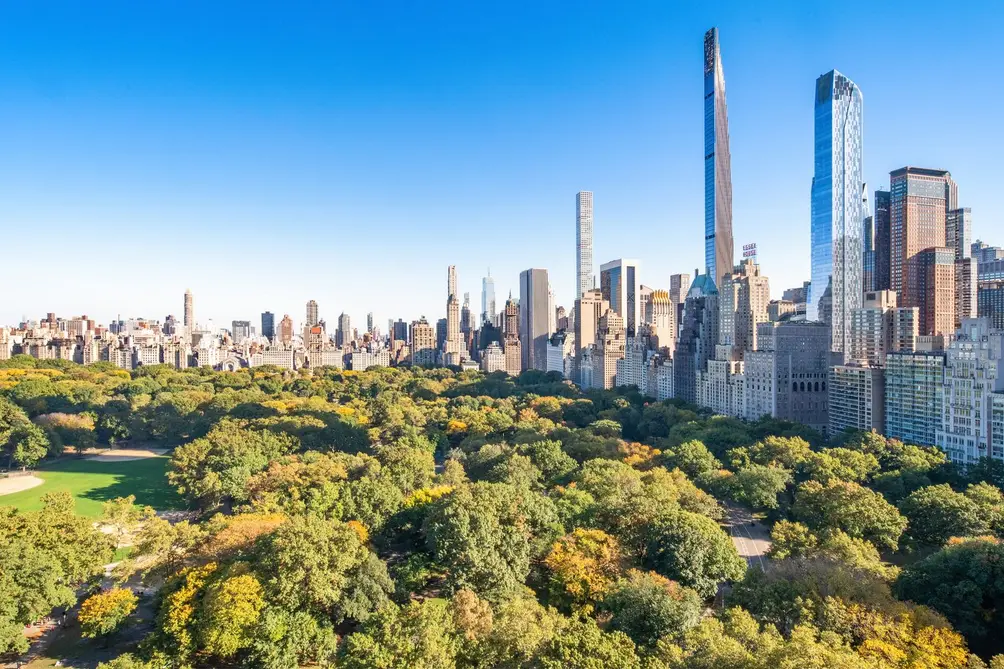 Central Park and Billionaires' Row skyline views