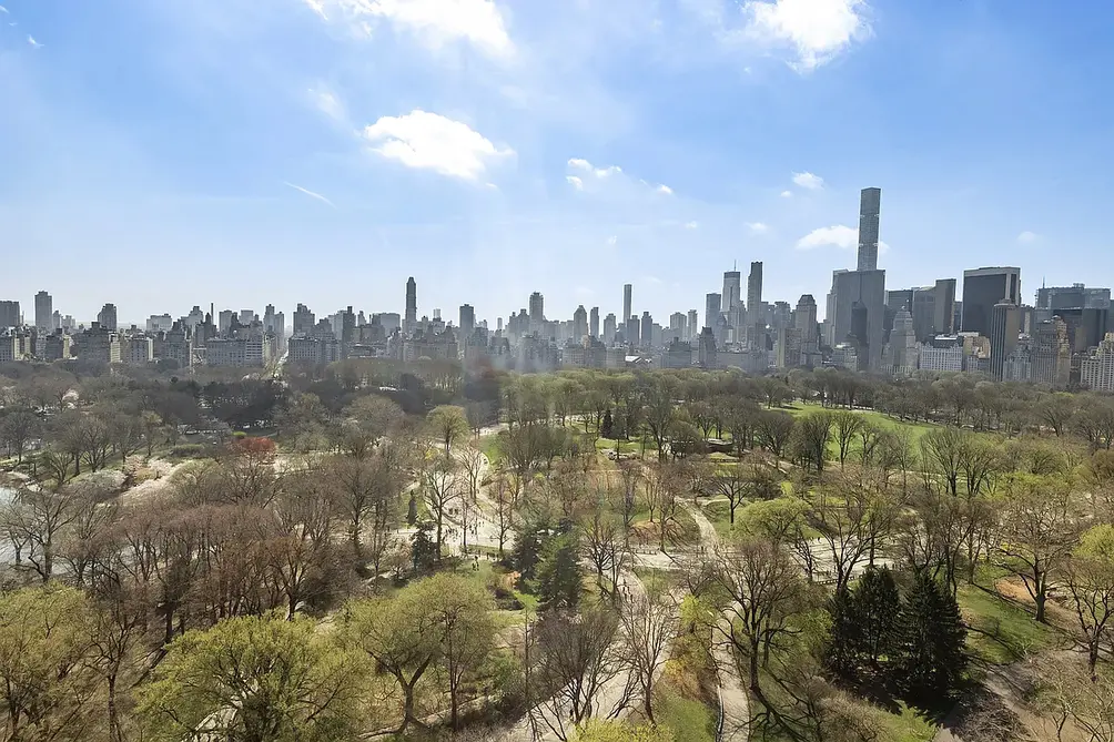 Views of Central Park and Billionaires' Row