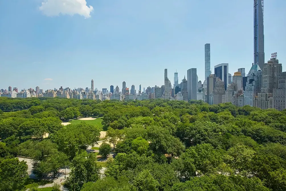 Central Park and Billionaires' Row views