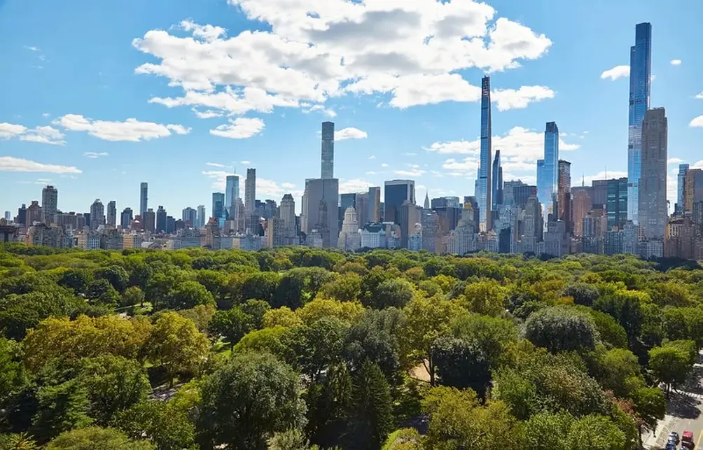 Central Park and Billionaires' Row views