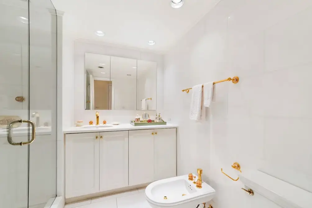 Primary bath with bidet and walk-in shower