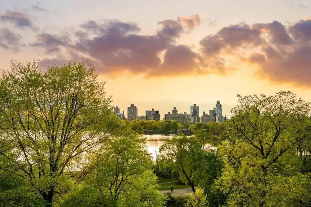 Central Park and sunset views