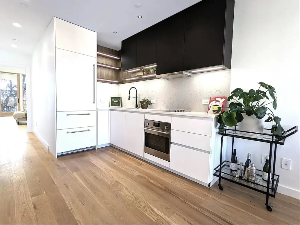 Open kitchen with integrated appliances
