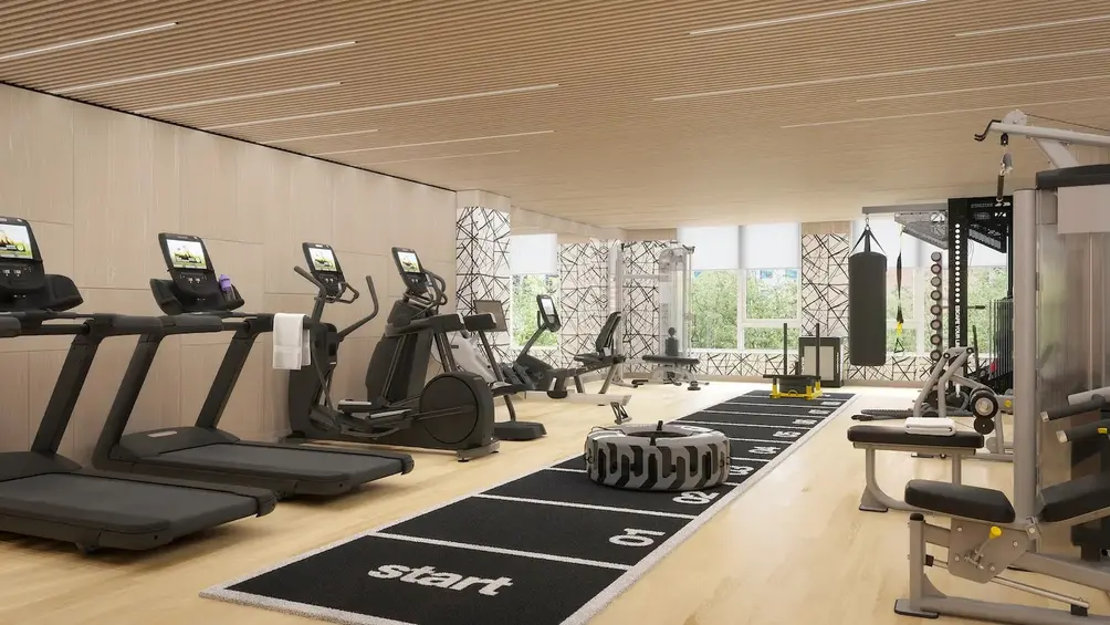 Fitness center with treetop views