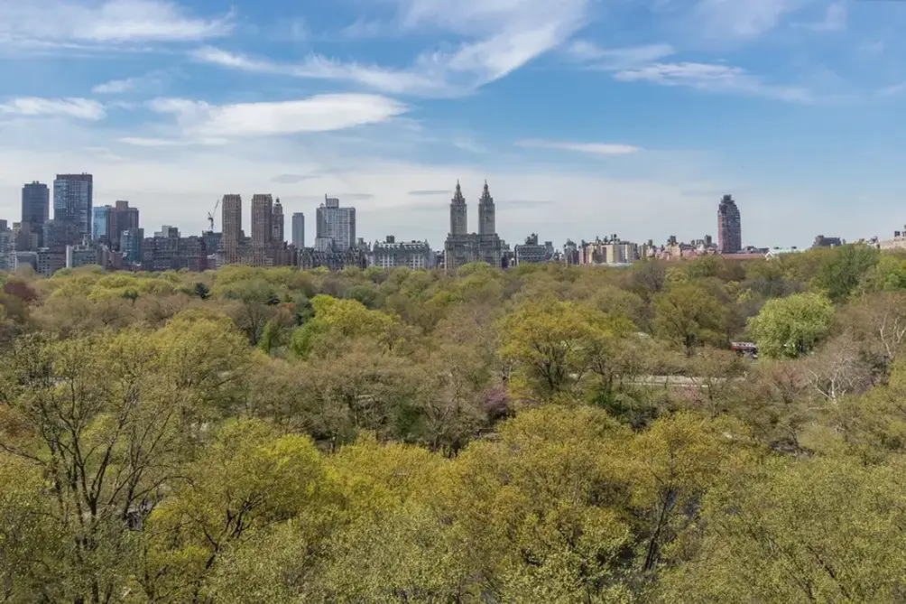 Views of Central Park and Central Park West skyline