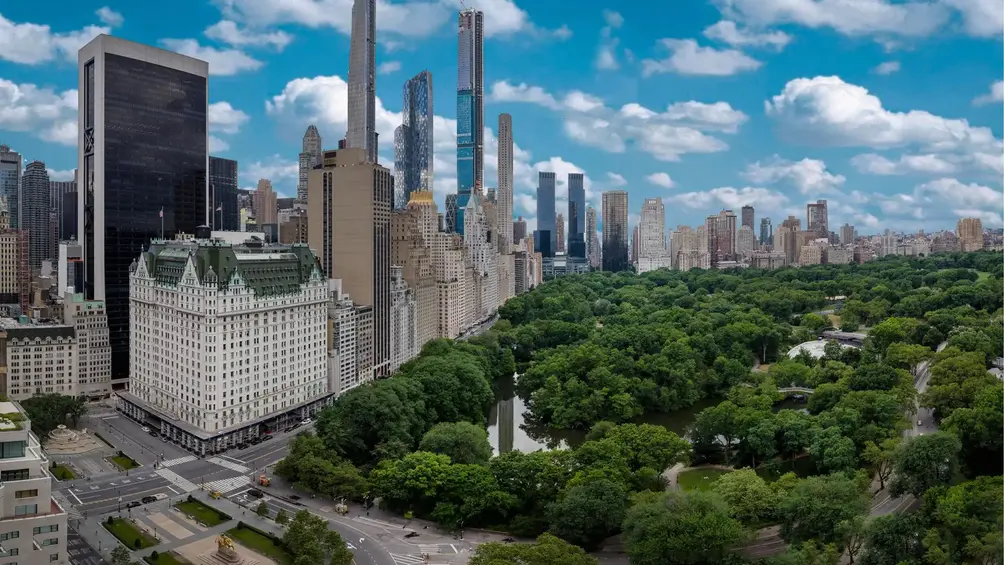 Central Park and Billionaires' Row views