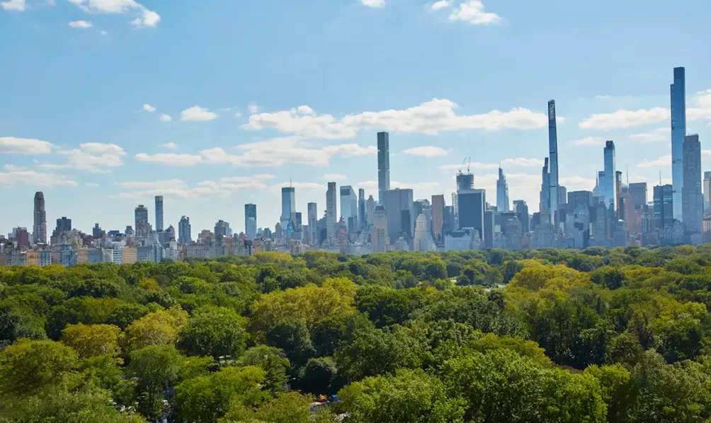 Central Park and Billionaires' Row views