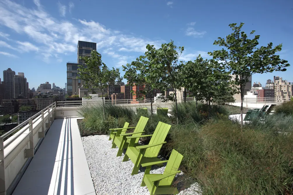 The rooftop offers secluded seating areas and lots of greenery 