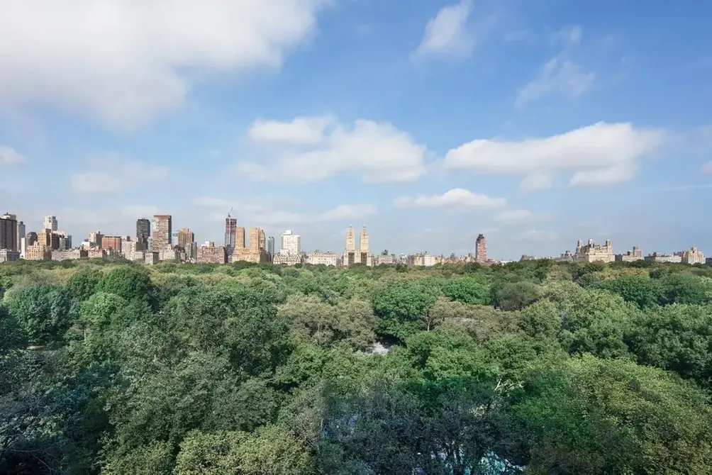 Central Park-facing apartments