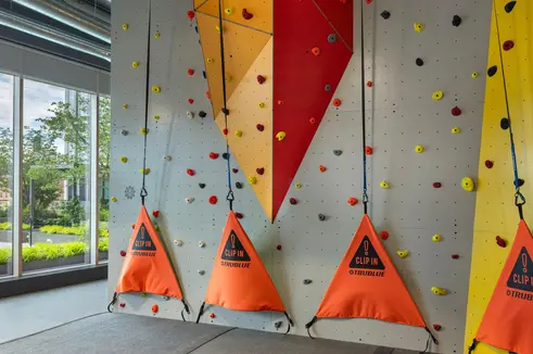 Rock climbing wall in windowed gym