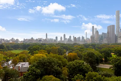 NYC Central Park Apartments Real Estate-012234