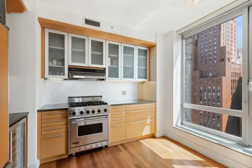 Windowed kitchen with high-end appliances