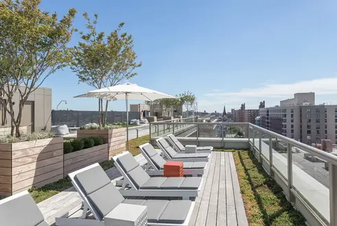 Rooftop terrace, Jamaica Queens, NYC rentals