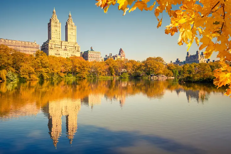 Why take a leaf tour when we have Central Park? (Stock photo)