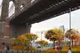 Brooklyn-Bridge-Park