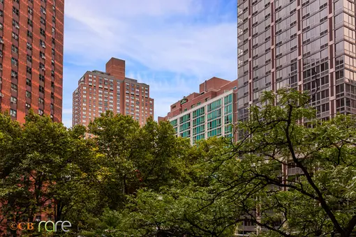 Plymouth Tower, 340 East 93rd Street, #2F