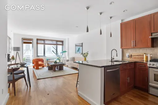 The Nina Condominiums, 450 East 117th Street, #3B