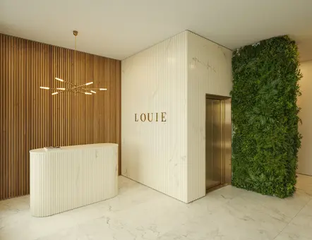 Louie XVIII, 16 West 18th Street, #5