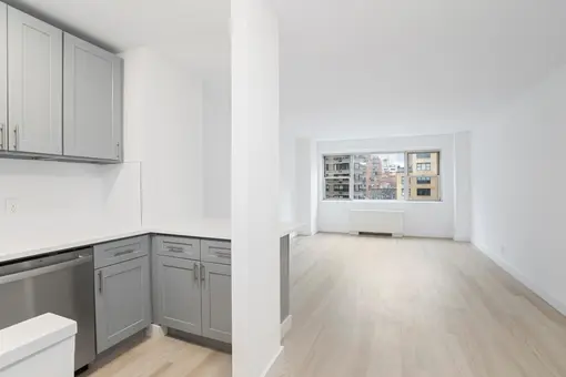 The Continental, 321 East 48th Street, #11L