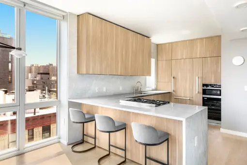 265 East Houston Street, #Penthouse