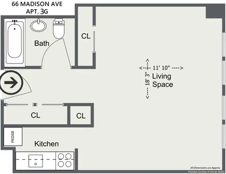 The Madison Parq, 66 Madison Avenue, #3G