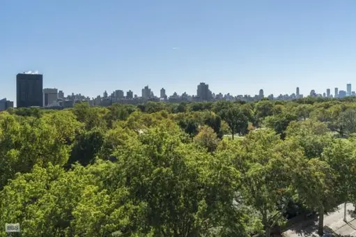 The Central Park View, 415 Central Park West, #9C