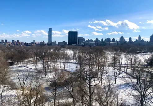 The Central Park View, 415 Central Park West, #11CD