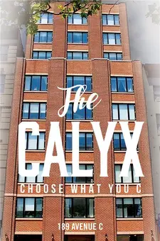 The Calyx, 189 Avenue C, #3A