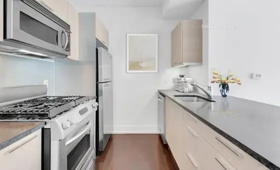The Orion, 350 West 42nd Street, #24I