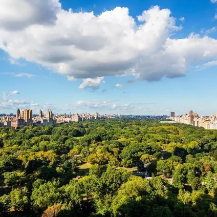 Residences at the Ritz Carlton, 50 Central Park South